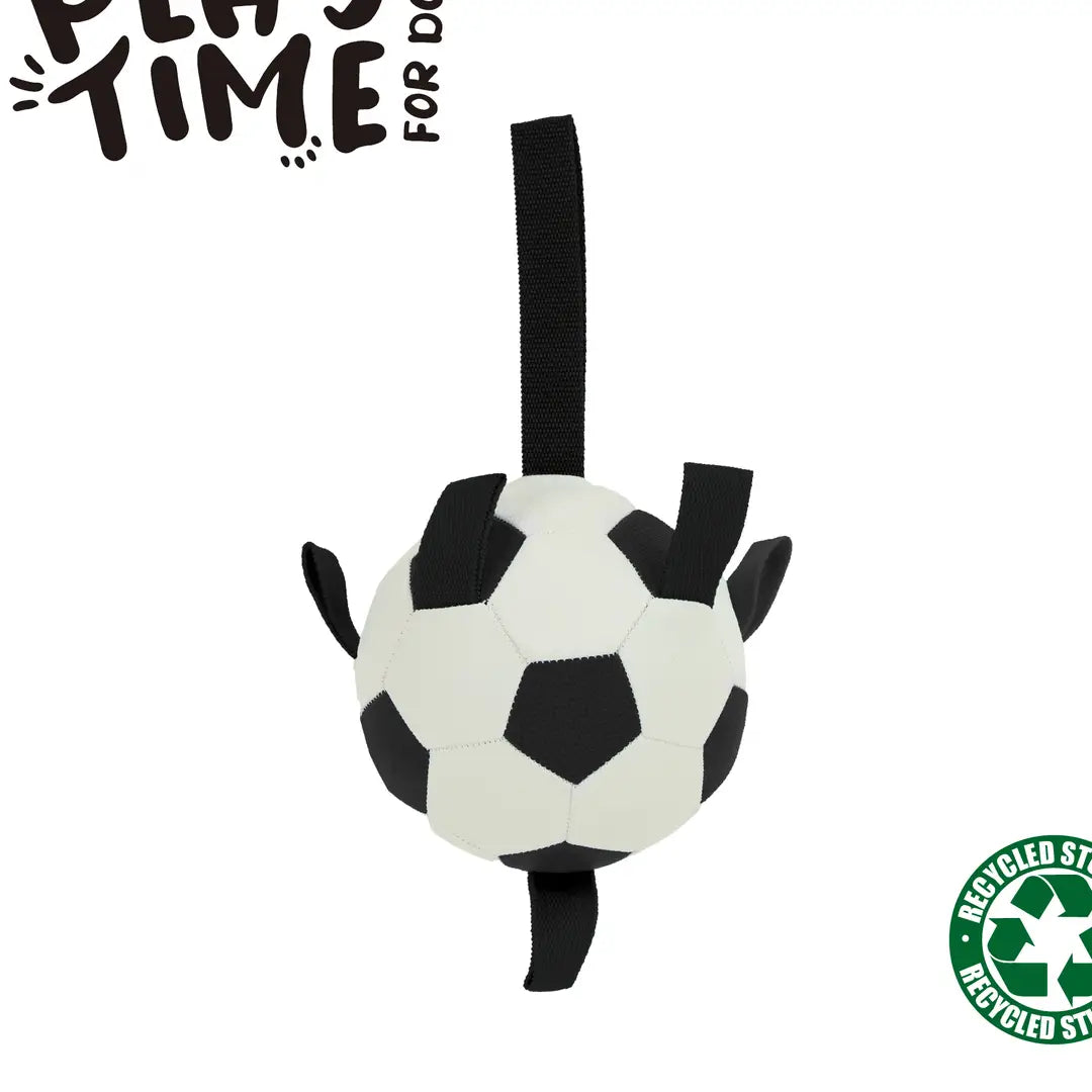 Playtime Chase - Grab Tabs Football For Dogs