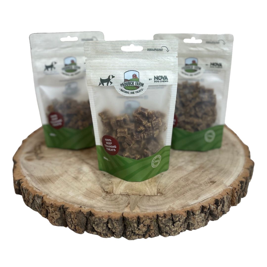 Beef Training Treats 100g