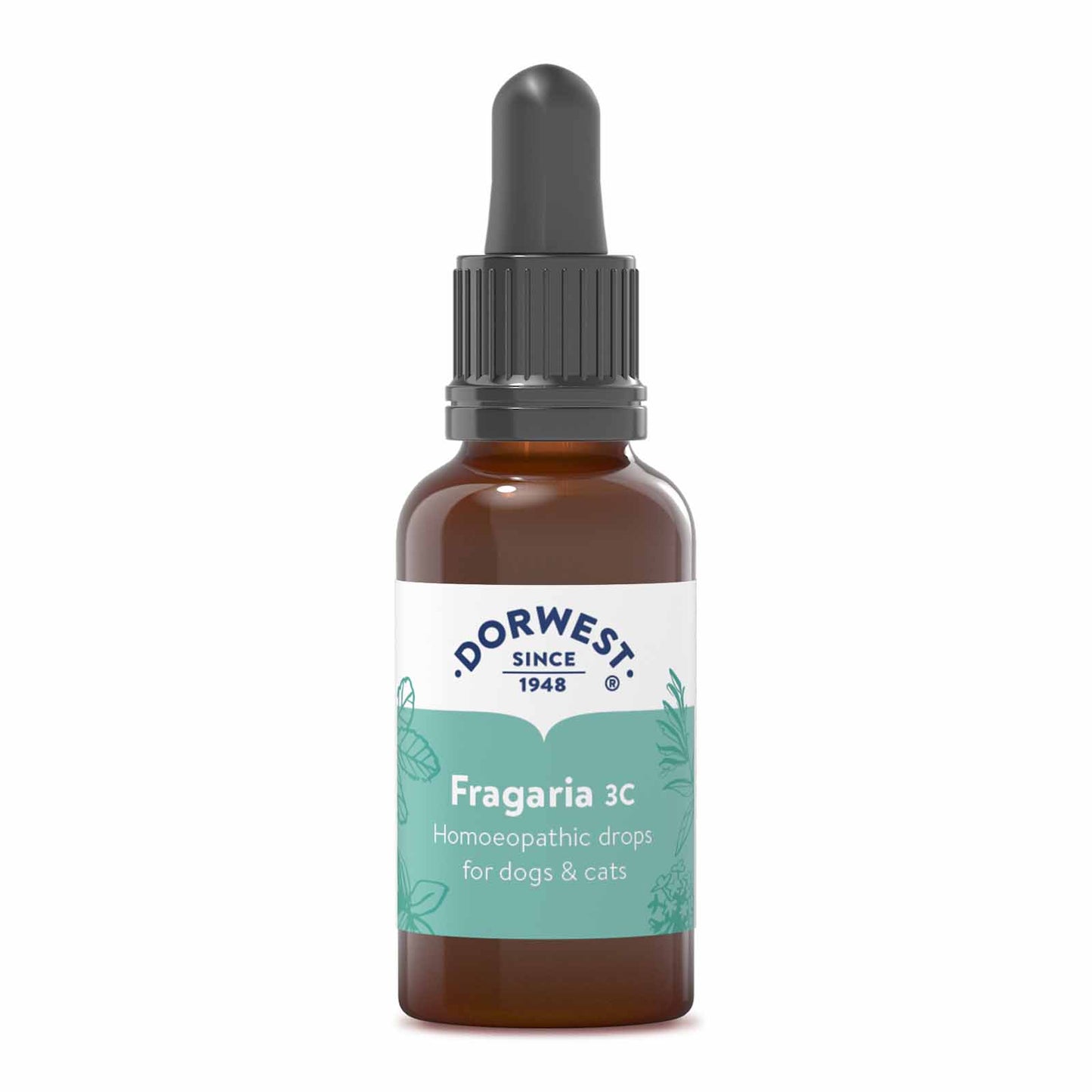 Fragaria 3C