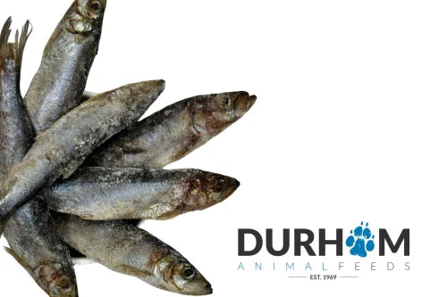 Frozen Herring 1kg