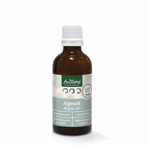 Algae Oil 20ml