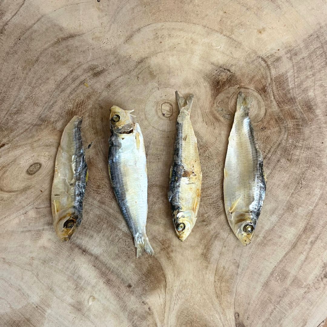 Baltic Sprats Dry 1kg