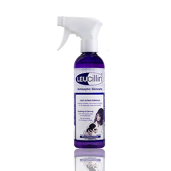 Leucillin 250ml