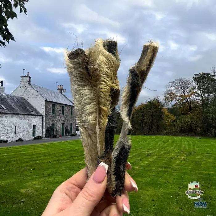 Hairy Lamb Skin 1pc