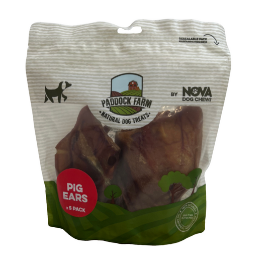 Pig Ears 5 pack