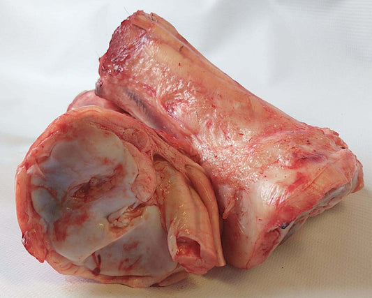 Frozen Beef Marrow Bones 1kg 2 pcs