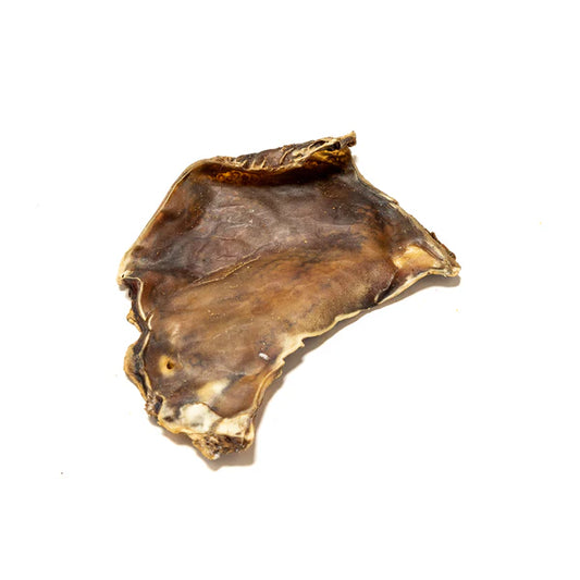 Small Camel Skin Plate 1pc