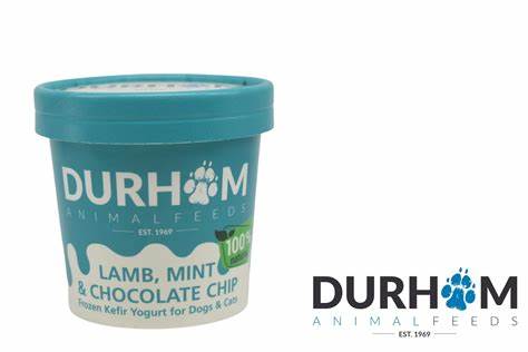 DAF /Lamb Mint Choc Chip Organic Kefir Yogurt Tub 85g