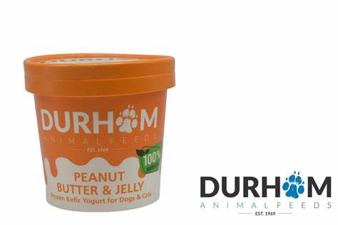 DAF / Peanut Butter & Jelly Organic Kefir Yogurt 85g Tub
