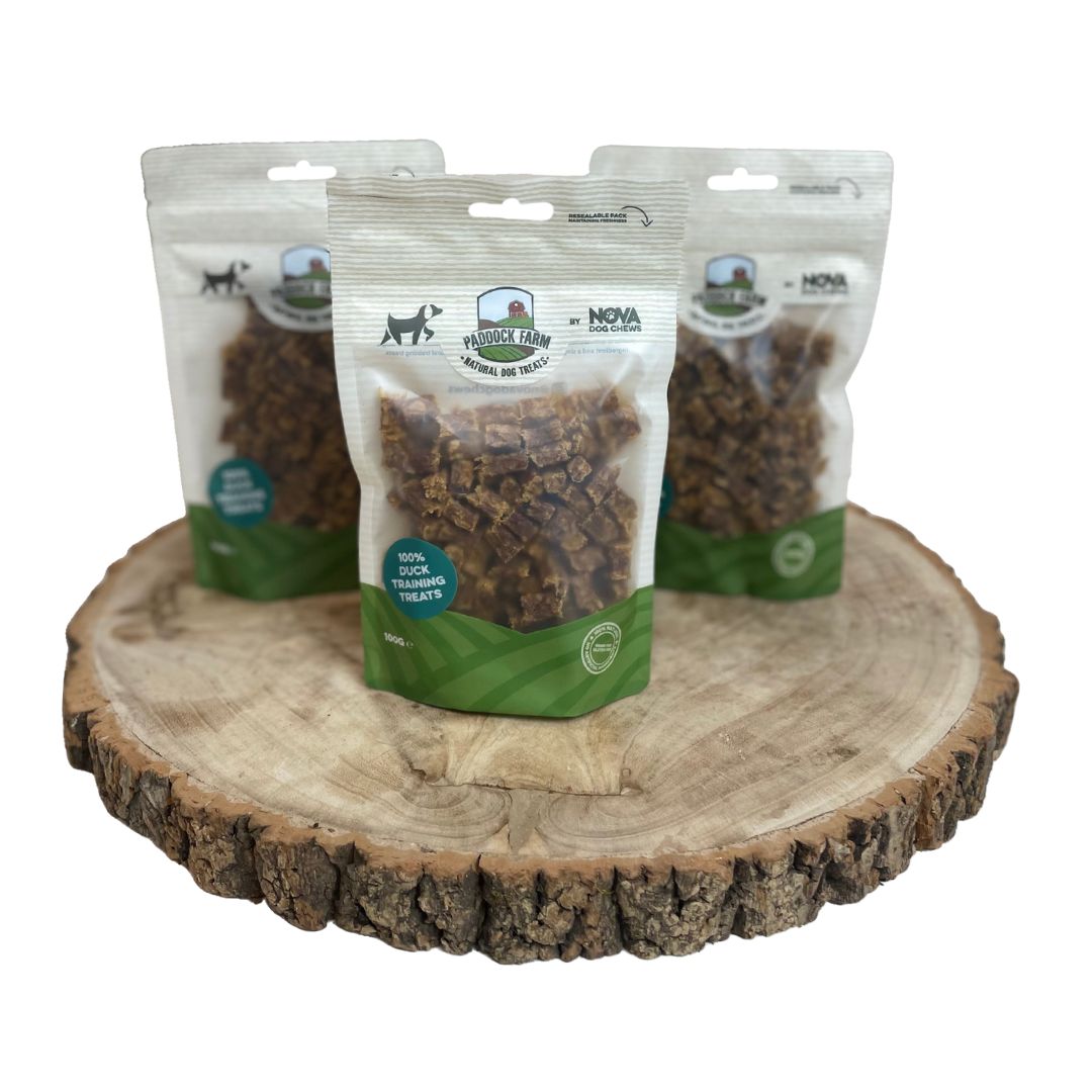 Duck Training Treats 100g