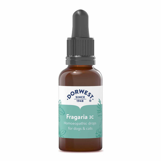 Fragaria 3C