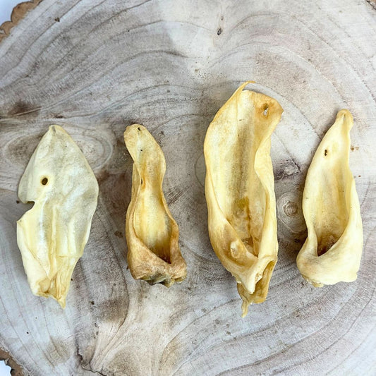 Goat Ear