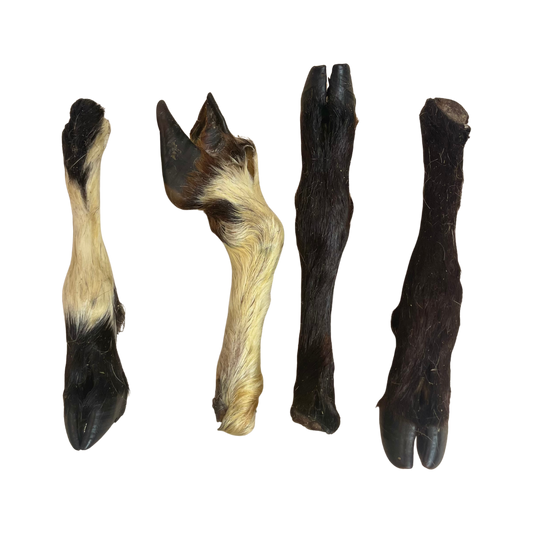 Hairy Lamb Leg