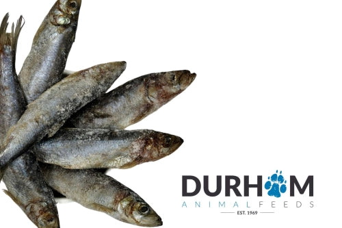 Frozen Herring 1kg