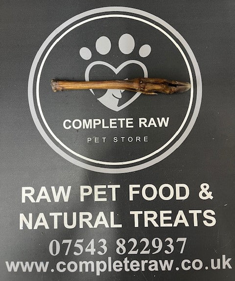 Roe Deer Leg