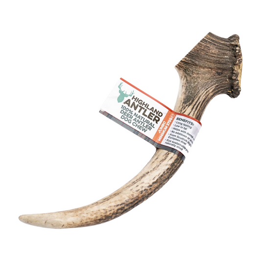 Antler Jumbo 270g