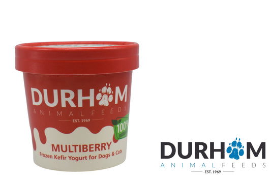 DAF / Multiberry Organic Kefir Yogurt Tub 85g