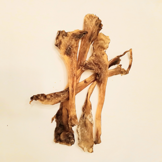 Ostrich Tendon 1pc