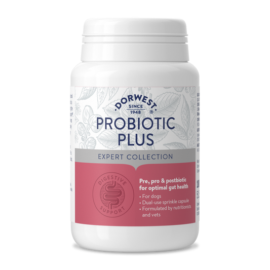 Probiotic Plus 100 Capsules