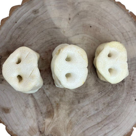 Pig Snout Puffed