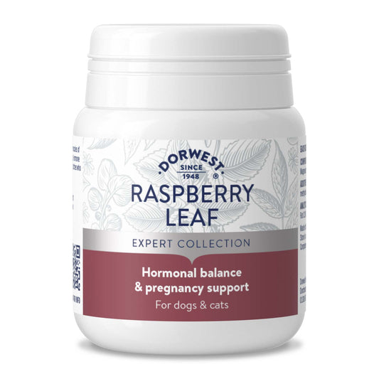 Rasberry Leaf Tablets 100