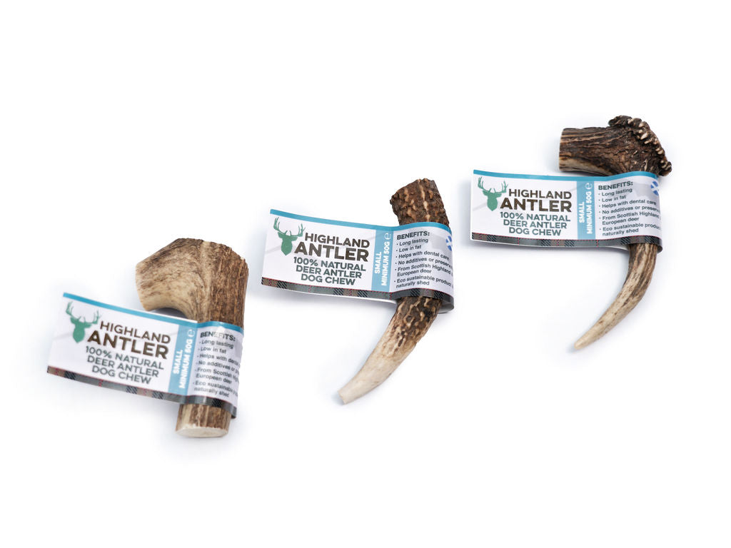 Antler Small 50g minimum