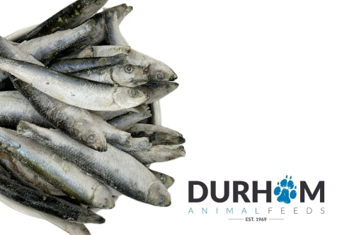 Sprats Frozen 1kg