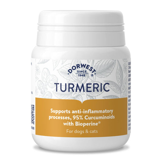 Tumeric Tablets 100