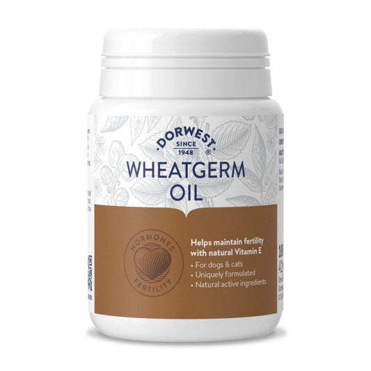 Wheat Germ Oil Capsules 100