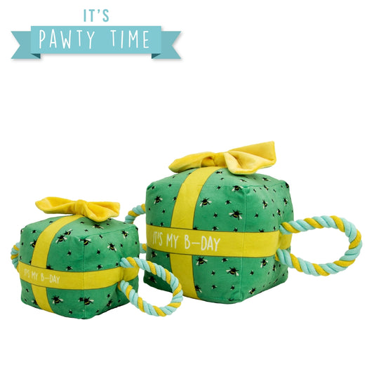 My Birthday Present Small