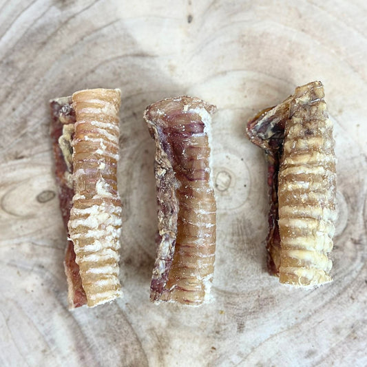 Beef Trachea Small 12cm 1KG