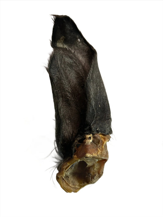 Treats/ Hairy Buffalo Ear