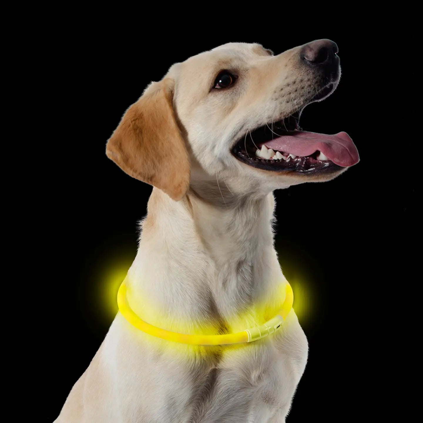 Rechargeable Flashing Band - Yellow