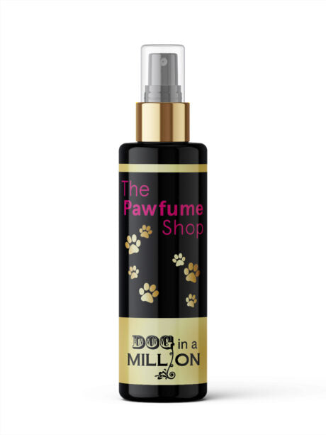 Dog in a Million 100ml