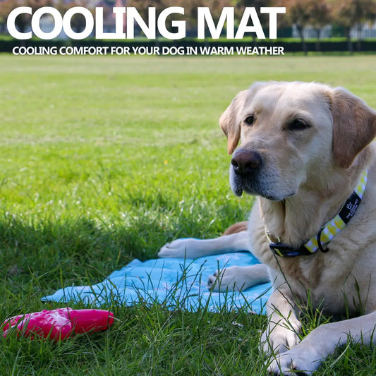 Ice Paws Cooling Mat S 45x60CM