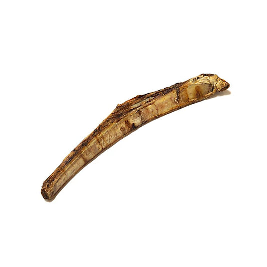 Jumbo Beef Rib Bone 1pc