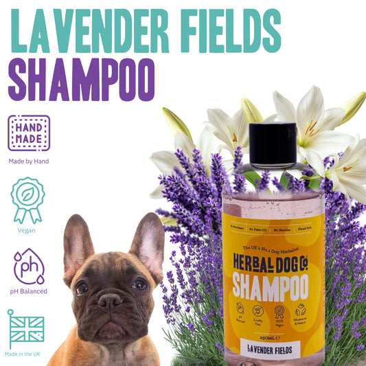 Herbal Dog Lavender Shampoo 250ml