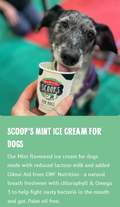 Scoops Mint Ice Cream