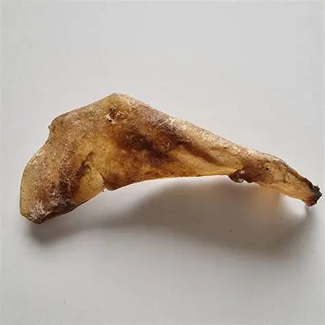 Beef Moon Bone Large