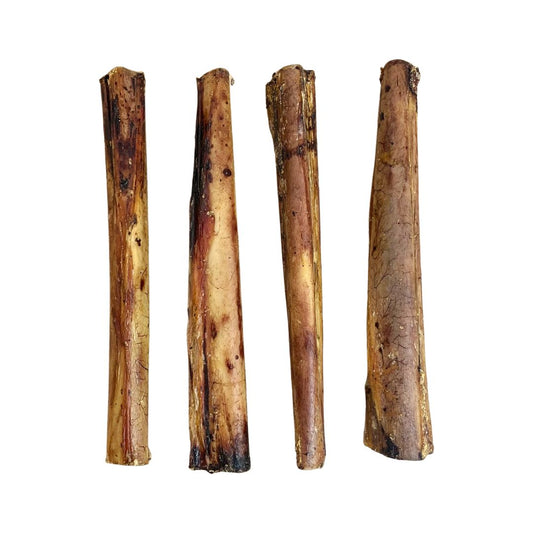 Ostrich Marrow Bone 1 pc