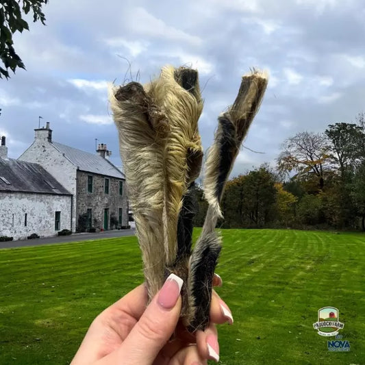 Hairy Lamb Skin 1pc
