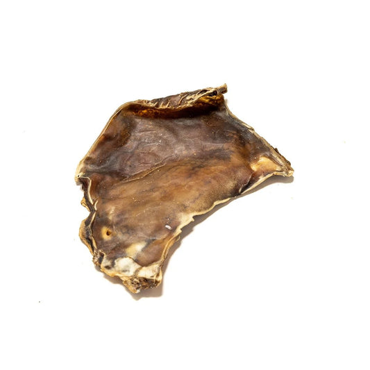 Camel Skin Plate