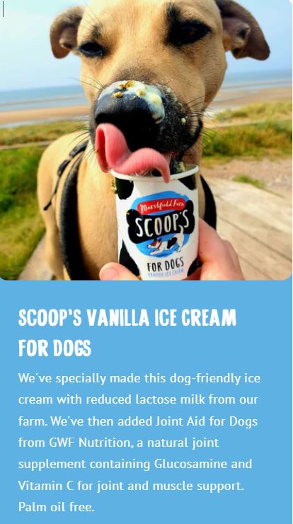 Scoops Vanilla Ice Cream